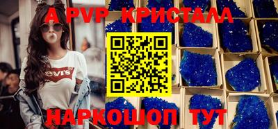 МДПВ Новозыбков