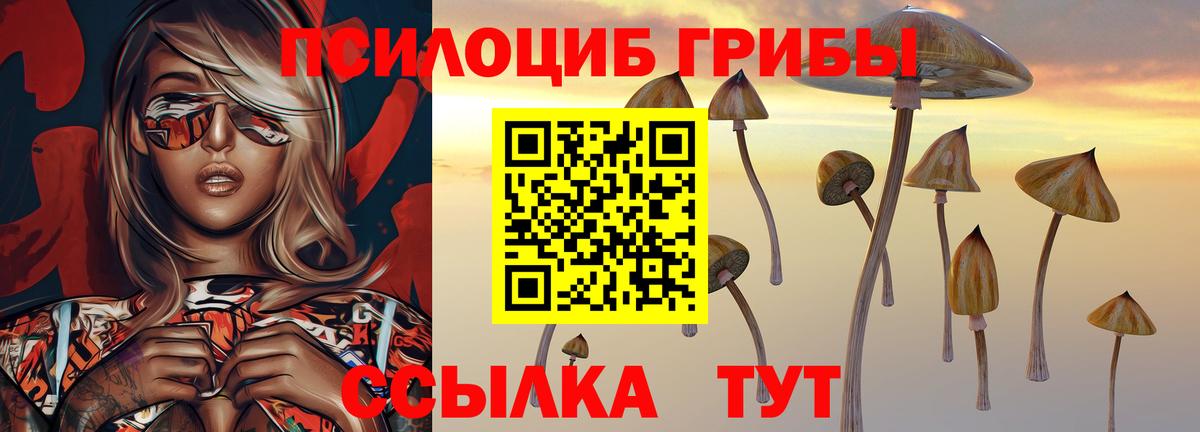 Псилоцибиновые грибы MAGIC MUSHROOMS  Вход с VPN  Свободный 